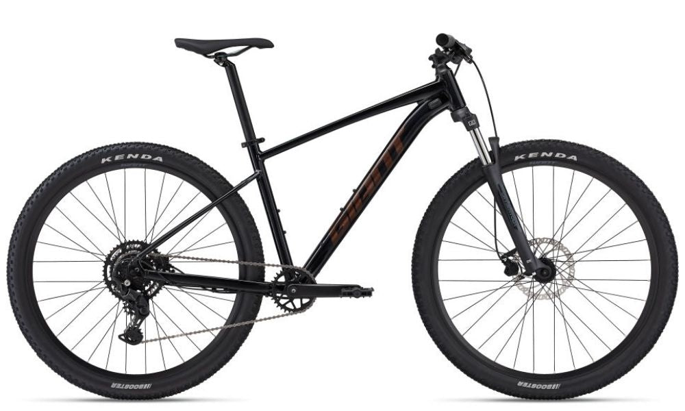 Giant 2024 Talon – Giant Wellington