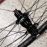MTN30 - 29" WHEELSET