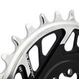 13171 Detail Tooth