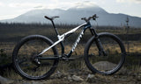 Giant 2026 Anthem Advanced SL 2