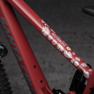 DYEDBRO - FRAME PROTECTION - DAISIES
