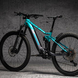 DYEDBRO EBIKE FRAME PROTECTION - OLD SCHOOL TATTOO